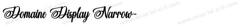 Domaine Display Narrow字体转换